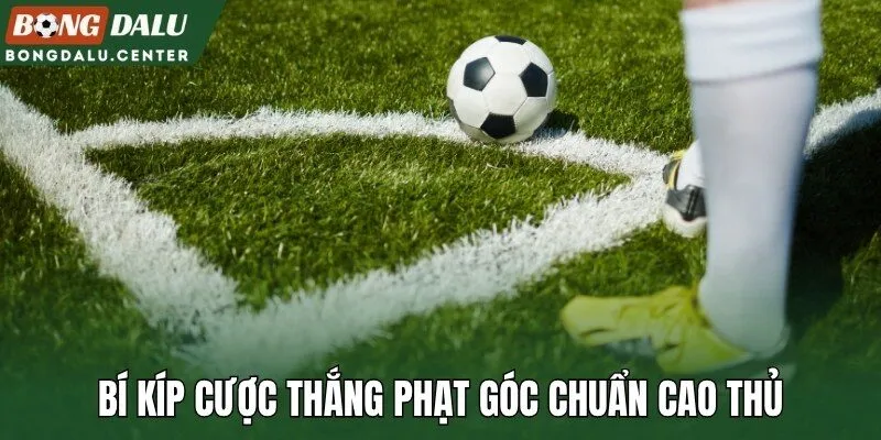 Bí kíp cược thắng phạt góc chuẩn cao thủ