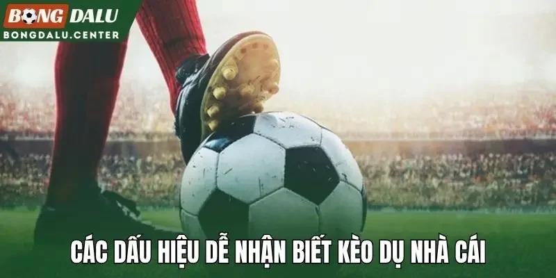 Các dấu hiệu dễ nhận biết kèo dụ nhà cái