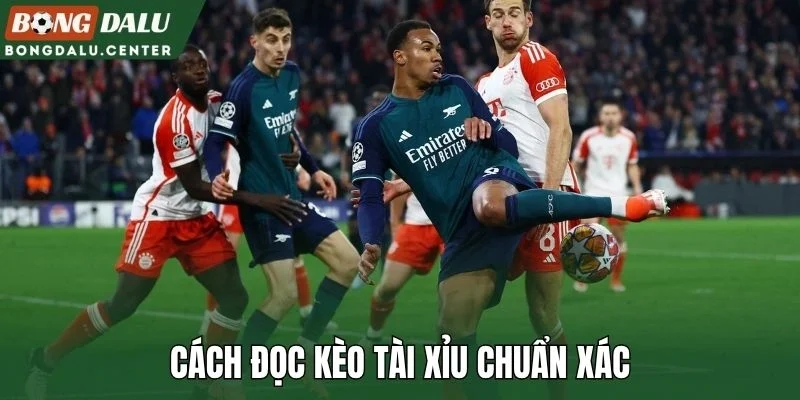 Cách đọc kèo tài xỉu chuẩn xác