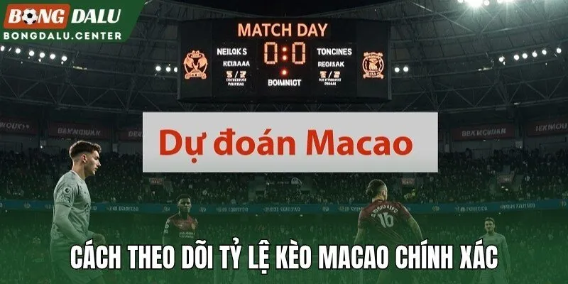 Cách theo dõi tỷ lệ kèo Macao chính xác
