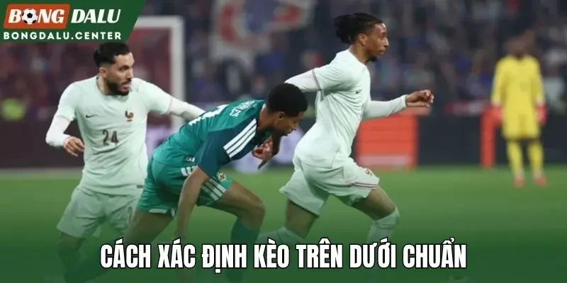 Cách xác định kèo trên dưới chuẩn