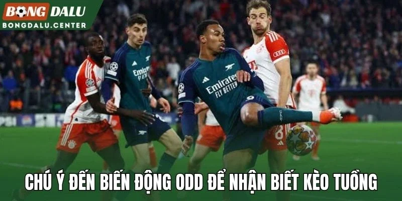 Chú ý đến biến động odd để nhận biết kèo tuồng
