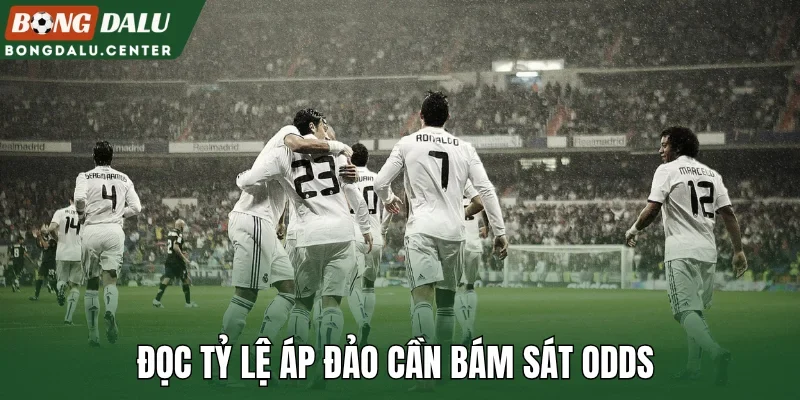 Đọc tỷ lệ áp đảo cần bám sát odds