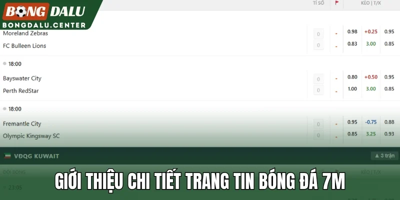 Giới thiệu chi tiết trang tin bóng đá 7M