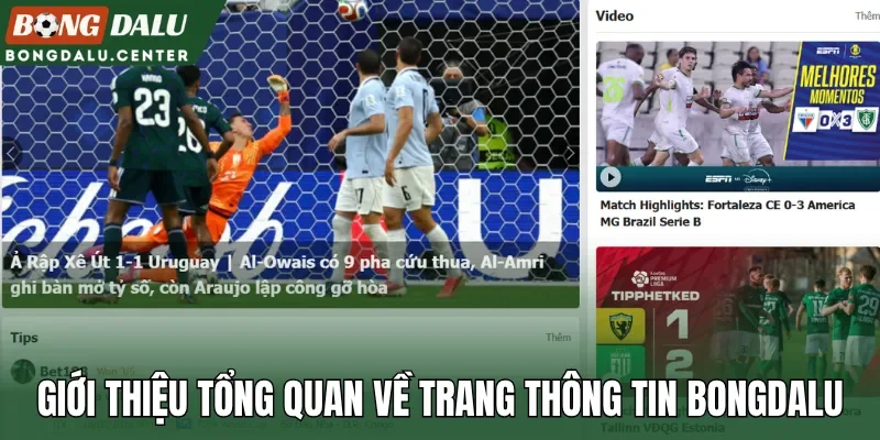 Giới thiệu tổng quan về trang thông tin Bongdalu