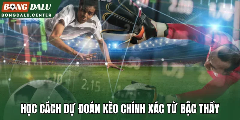 Học cách dự đoán kèo chính xác từ bậc thầy