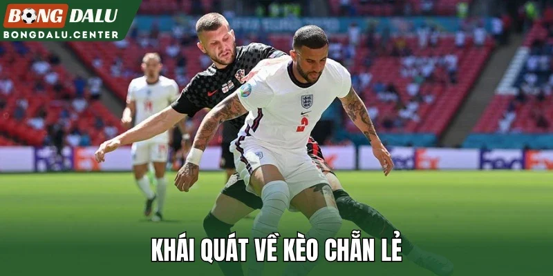 Khái quát về kèo chẵn lẻ