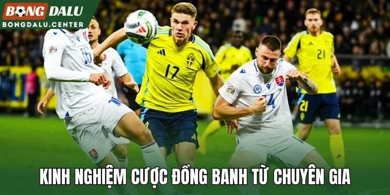 Kinh nghiệm cược đồng banh từ chuyên gia