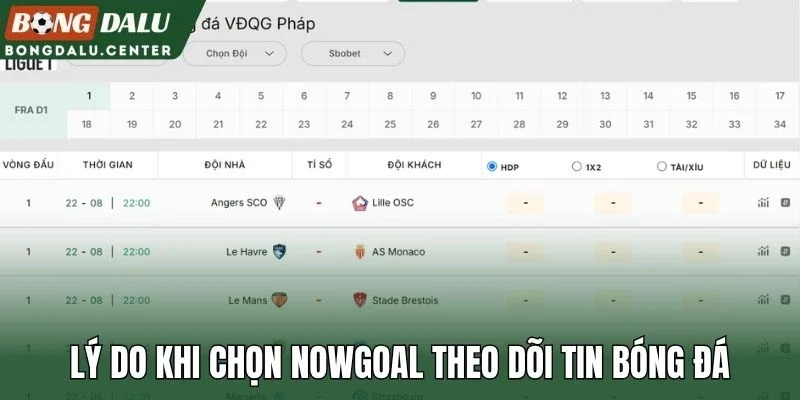 Lý do khi chọn Nowgoal theo dõi tin bóng đá