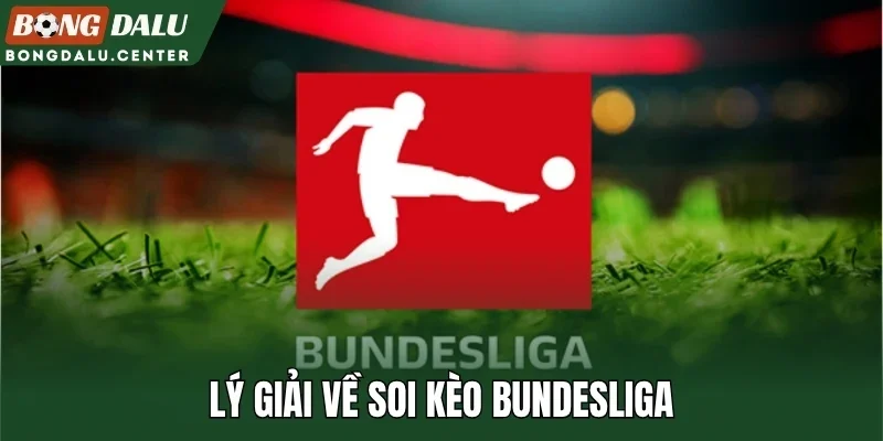 Lý giải về soi kèo Bundesliga