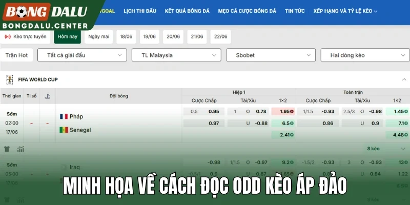 Minh họa về cách đọc odd kèo áp đảo