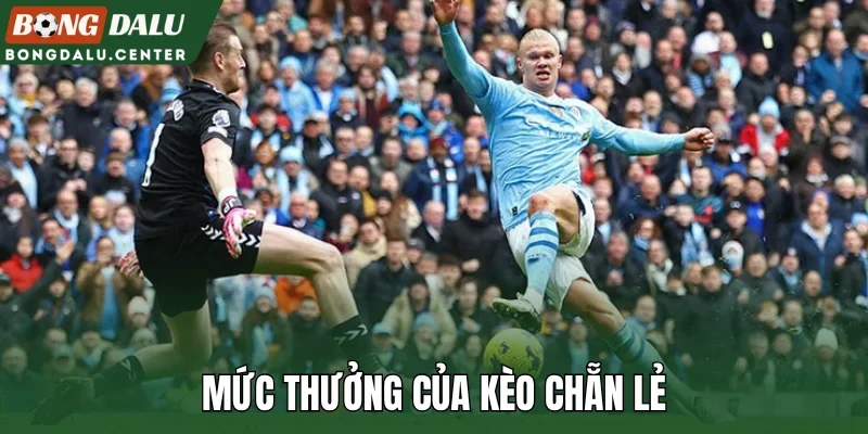 Mức thưởng của kèo chẵn lẻ