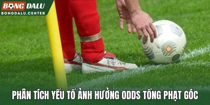 Phân tích yếu tố ảnh hưởng odds tổng phạt góc