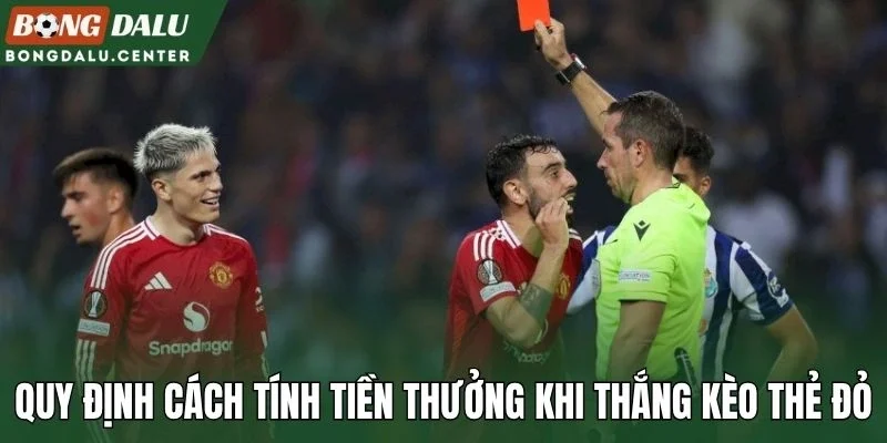 Quy định cách tính tiền thưởng khi thắng kèo thẻ đỏ