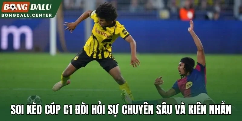 Soi kèo cúp C1 đòi hỏi sự chuyên sâu và kiên nhẫn