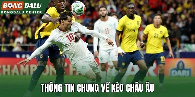 Thông tin chung về kèo châu Âu