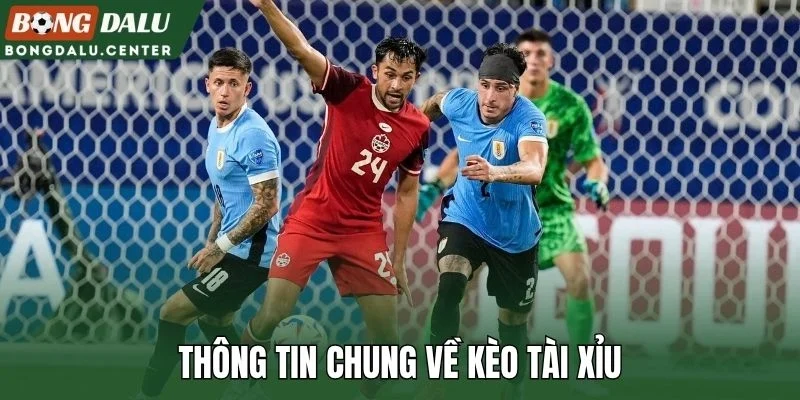 Thông tin chung về kèo tài xỉu
