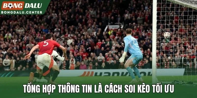 Tổng hợp thông tin là cách soi kèo tối ưu