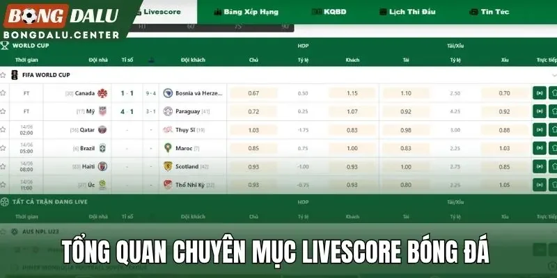 Tổng quan chuyên mục livescore bóng đá 