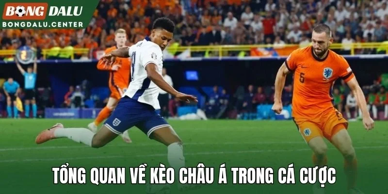 Tổng quan về kèo châu Á trong cá cược