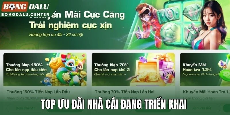 Top ưu đãi nhà cái đang triển khai