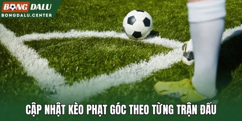 Cập nhật kèo phạt góc theo từng trận đấu