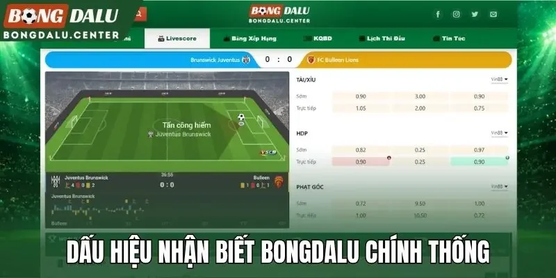 Dấu hiệu nhận biết Bongdalu chính thống