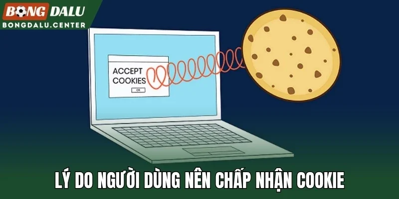 Lý do người dùng nên chấp nhận cookie