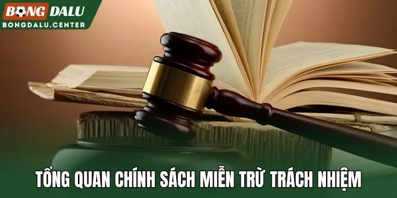 Tổng quan chính sách miễn trừ trách nhiệm