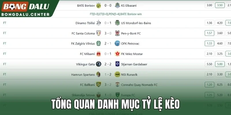 Tổng quan danh mục tỷ lệ kèo
