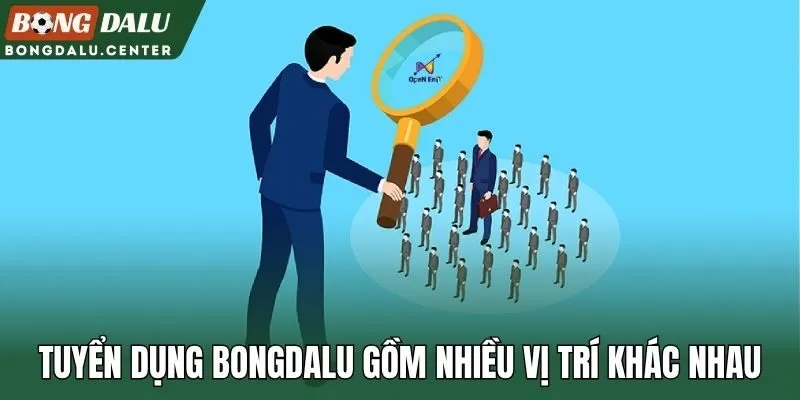 Tuyển dụng Bongdalu gồm nhiều vị trí khác nhau