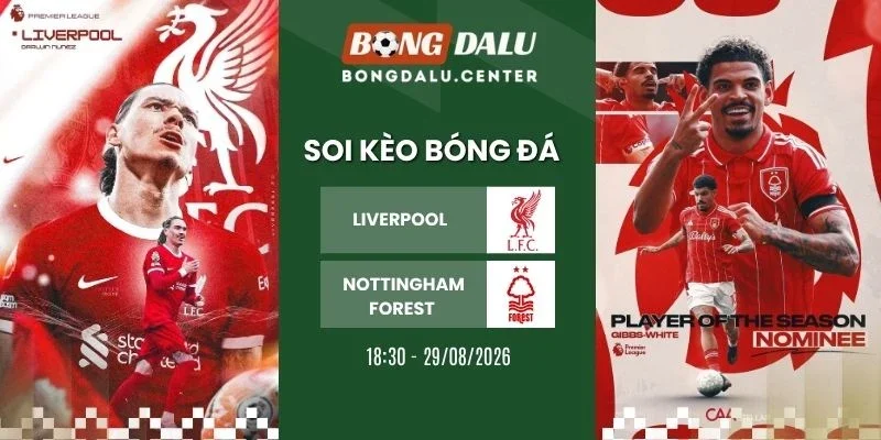 soi kèo Liverpool vs Nottingham Forest - NHA, 29/08/2026