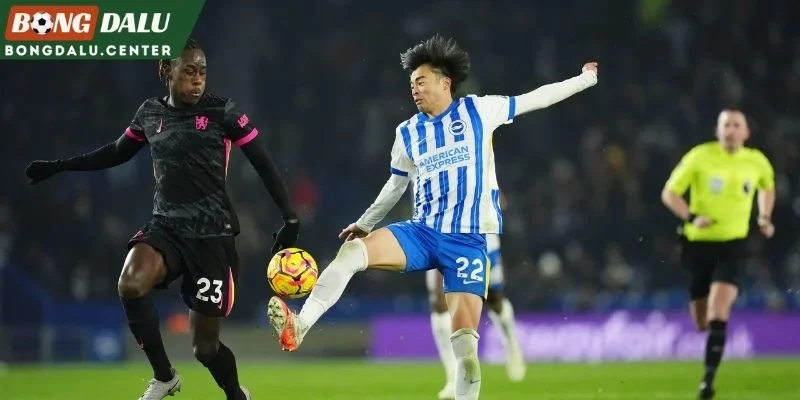 Tình hình mới nhất của Chelsea và Brighton