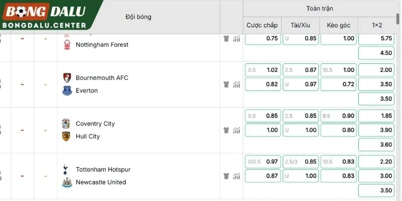 Tổng hợp các lựa chọn cược Tottenham vs Newcastle