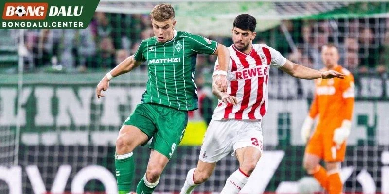 Tổng quan lực lượng Freiburg và Bremen
