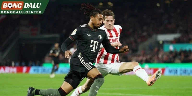 Bảng kèo tại cuộc tranh tài Elversberg vs Bayern Munich
