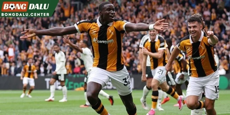 Hull City gây bất ngờ với màn khởi đầu như mơ