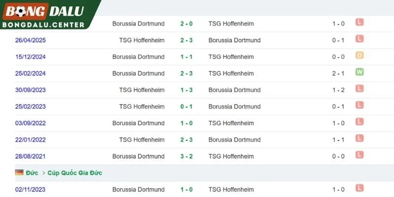 Lịch sử chạm trán giữa Hoffenheim và Dortmund