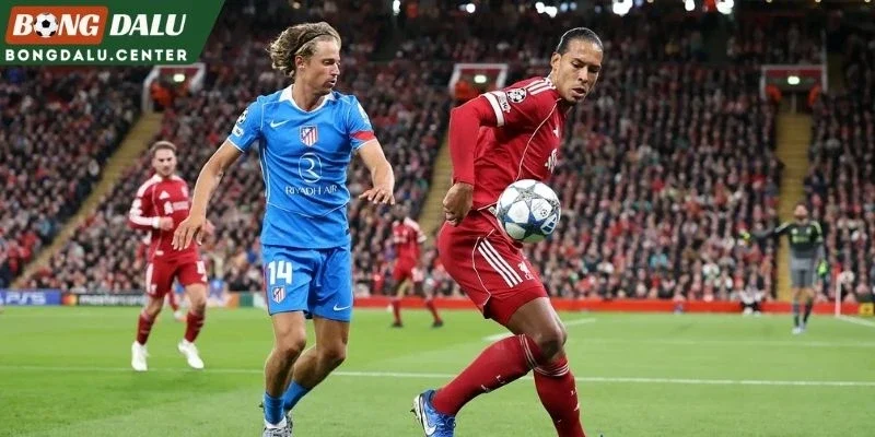 Nhận định tình hình Liverpool và Atletico Madrid