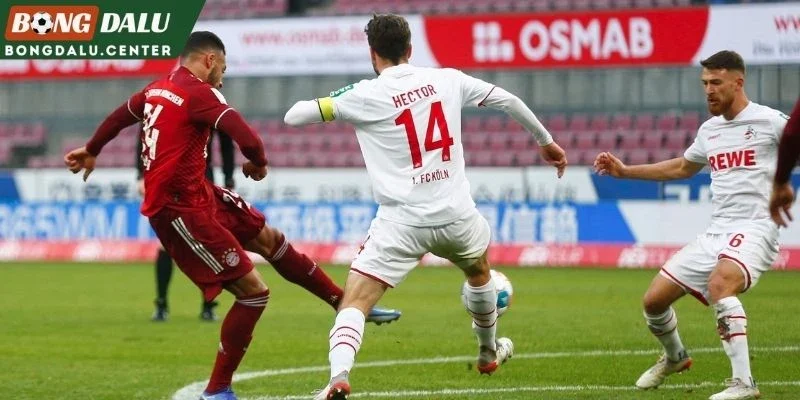 Phân tích các cửa kèo Stuttgart vs Köln