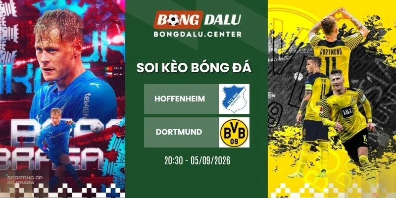 Soi kèo nhà cái Hoffenheim vs Dortmund - Bundesliga, 05/09/2026