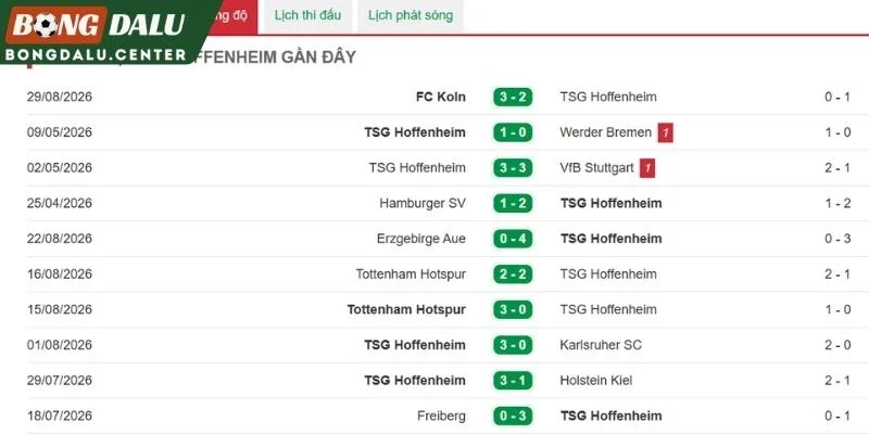 Thành tích thi đấu gần đây của Hoffenheim