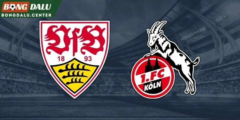 Toàn cảnh Stuttgart và Köln trước trận đấu