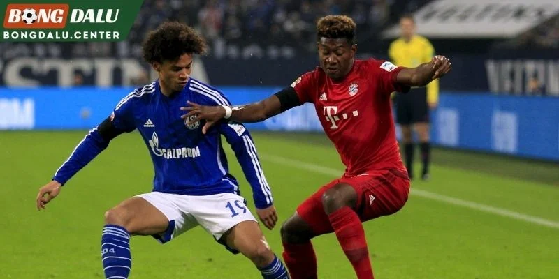 Tổng quan sức mạnh Schalke 04 và Bayern Munich
