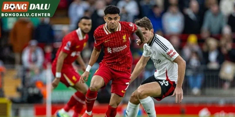 Tổng quan tương quan Liverpool vs Fulham